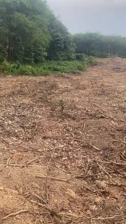 Đất Vườn Long Tân 19000m² - Sẵn Sàng Làm Trang Trại Riêng