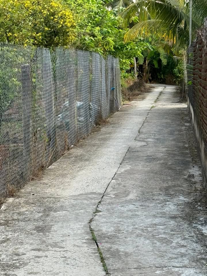 Đất nền Nguyễn Văn Kim Nhị Quý 239m² 1.33 tỷ - Sổ đỏ chính chủ