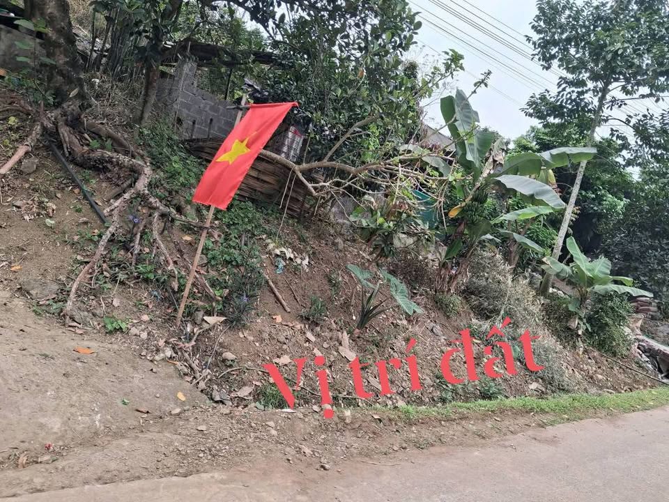 Đất Nền 280m² Xóm Môn, Cao Phong, Hòa Bình - Sổ Đỏ Sẵn Sàng