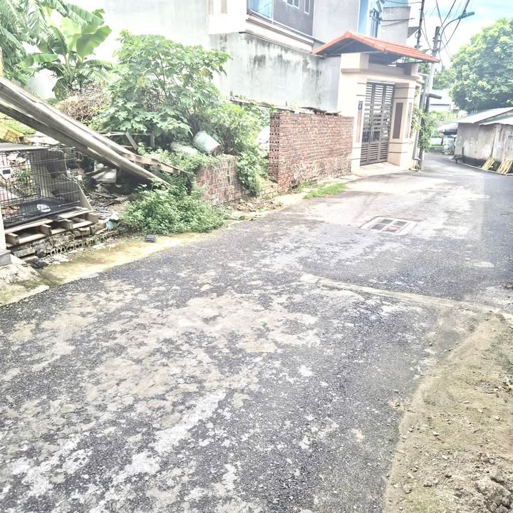 Bán Đất 91m² Vĩnh Phúc - Mặt Tiền Rộng, Gần Chợ, Trung Tâm Phường