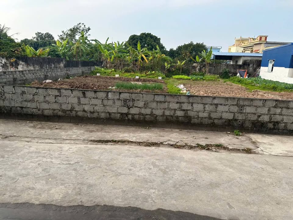 Đất nền Giao Xuân 277m² Nam Định - Sổ đỏ chính chủ