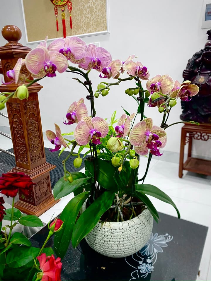 Cho thuê Căn hộ C6 Mỹ Đình 124m² - 3PN Giá 14 Triệu/Tháng