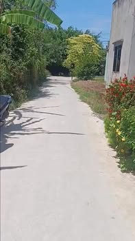 Nhà Vườn 301m² Mỹ Hạnh Bắc, Đức Hòa - Sổ Hồng Riêng, Giá 2 Tỷ