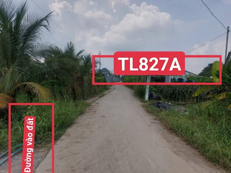 Bán Đất Lúa 1000m² Xã Vĩnh Công, Châu Thành - Giá 1.15 Tỷ
