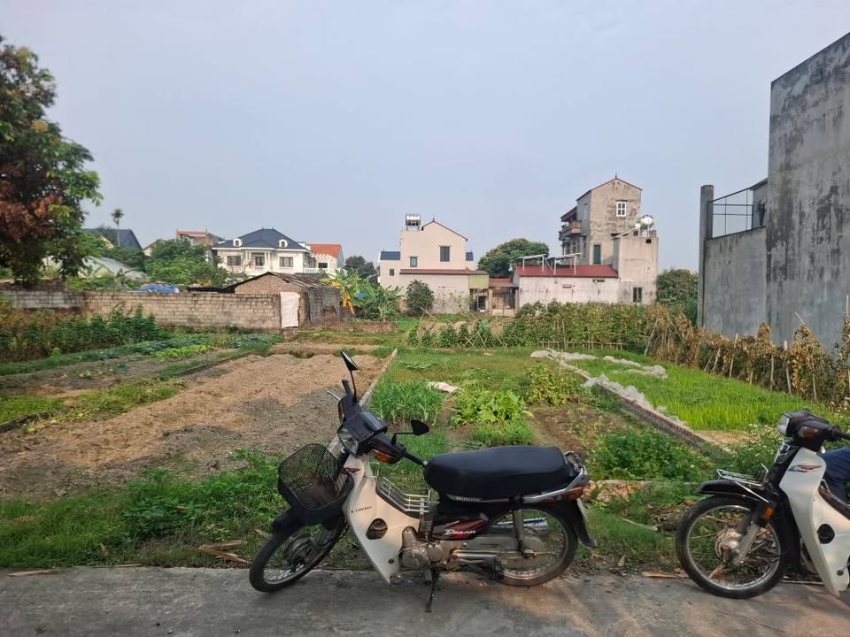 Đất nền Quang Tiến Sóc Sơn 75m² 2 tỷ - Sổ đỏ chính chủ đầu tư