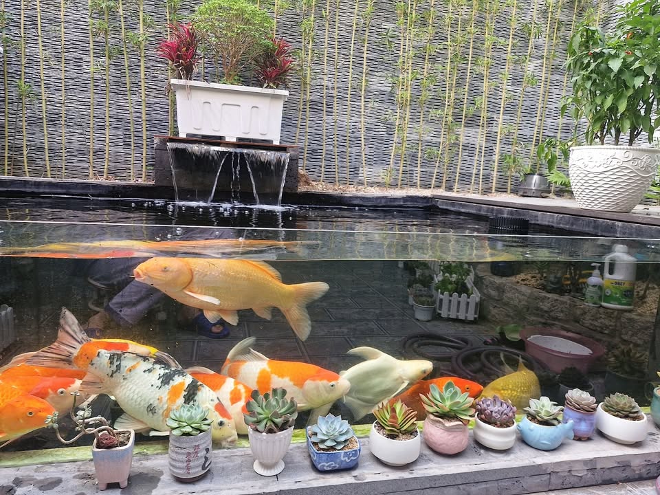 Nhà riêng Trần Nguyên Hãn Hải Dương 46m² - Sẵn sàng ở ngay