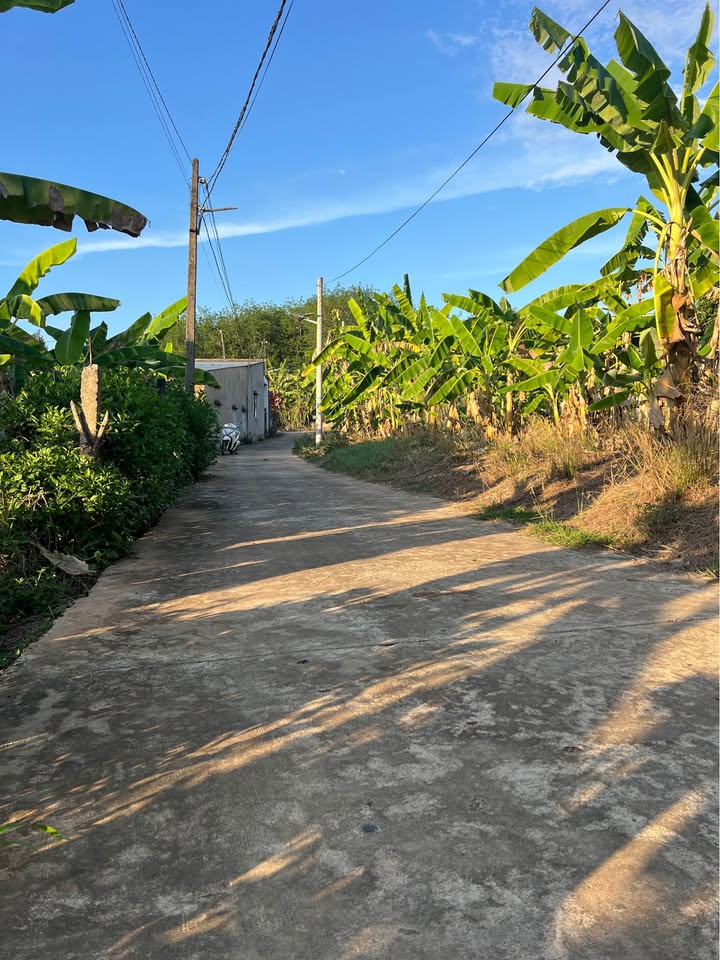 Đất nền Đồng Xoài 720m² 950 triệu - Sổ đỏ chính chủ