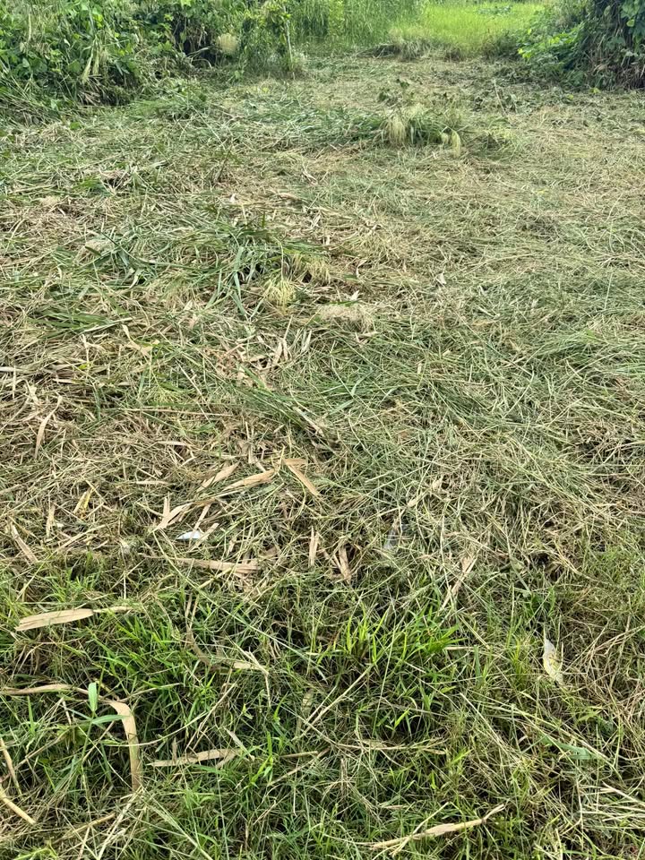 Đất nền Trí Phải 450m² 1.82 tỷ - Sổ đỏ chính chủ