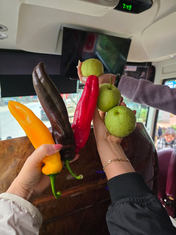 Đất nền Phường Mộc Lị 320m² Mộc Châu 2.6 tỷ - Sổ đỏ chính chủ