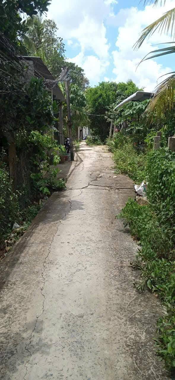 Đất Nền Mặt Tiền Sông Vàm Cỏ Đông - 280m² Thạnh Lợi, Bến Lức - 1.26 Tỷ