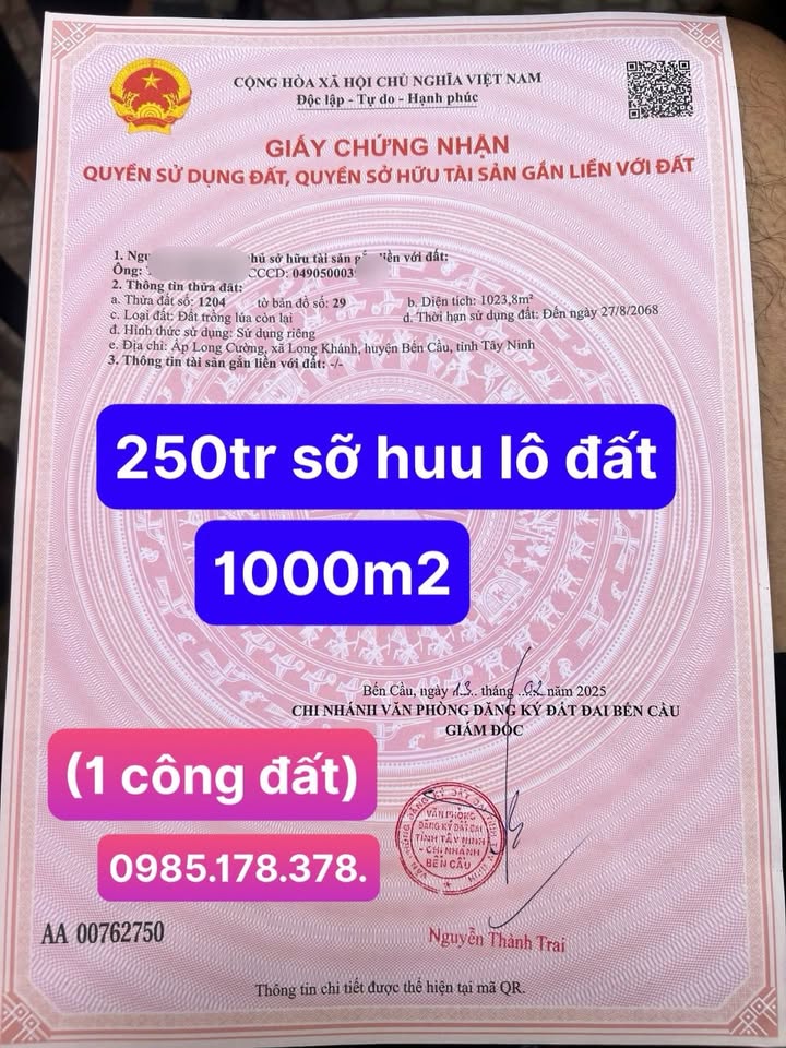 Bán đất chính chủ 1024m² Bến Cầu, Tây Ninh - Sổ hồng sẵn, giá 250 triệu