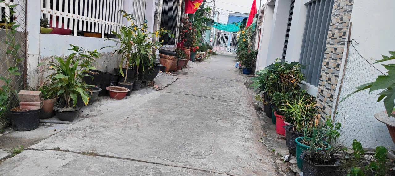 Đất Nền Long Thành 101m² Sổ Đỏ - Sẵn Sàng Xây Dựng