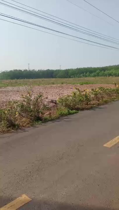 Đất Nền Sổ Sẵn 250m² Mặt Tiền Đường Nhựa An Long, Bình Dương - Giá Đầu Tư F0