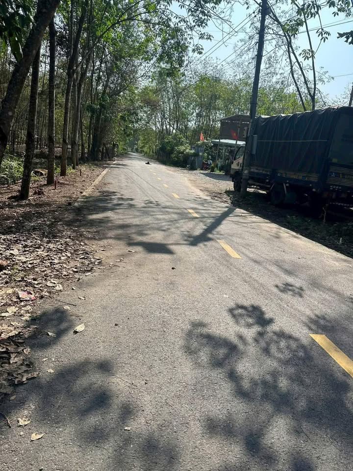 Đất Nền Phú Giáo 202m² Nở Hậu Đẹp - Sổ Sẵn 1 Tỷ