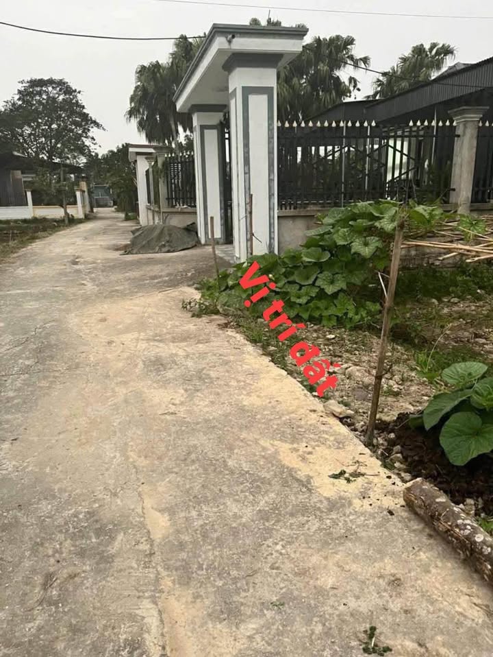 Đất nền Vĩnh Phúc 175m² giá chỉ 3xx triệu - Sổ đỏ sẵn sàng