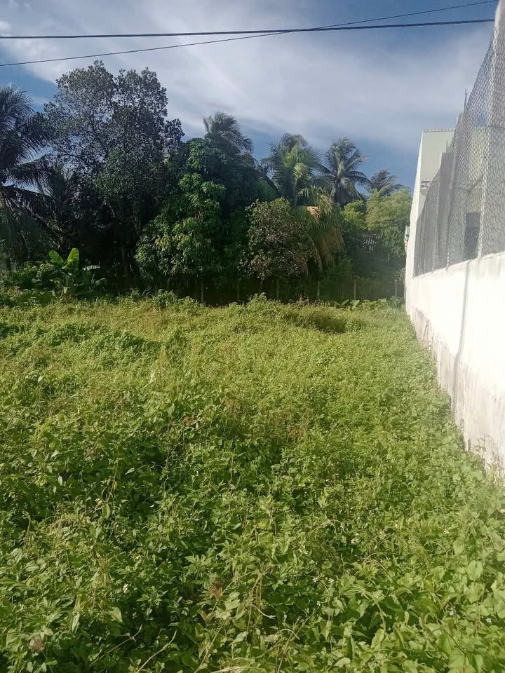 Bán đất thổ cư Nhị Thành, Long An 260m² giá 1.55 tỷ