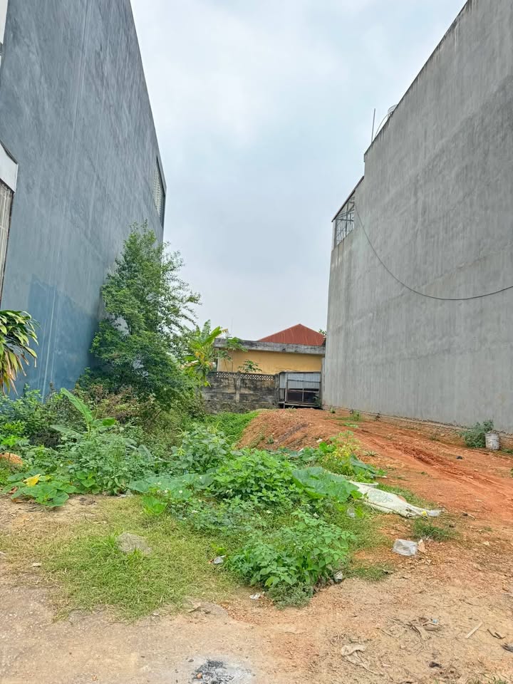 Đất nền TL306 Sông Lô 100m² 3.2 tỷ - Sổ đỏ chính chủ