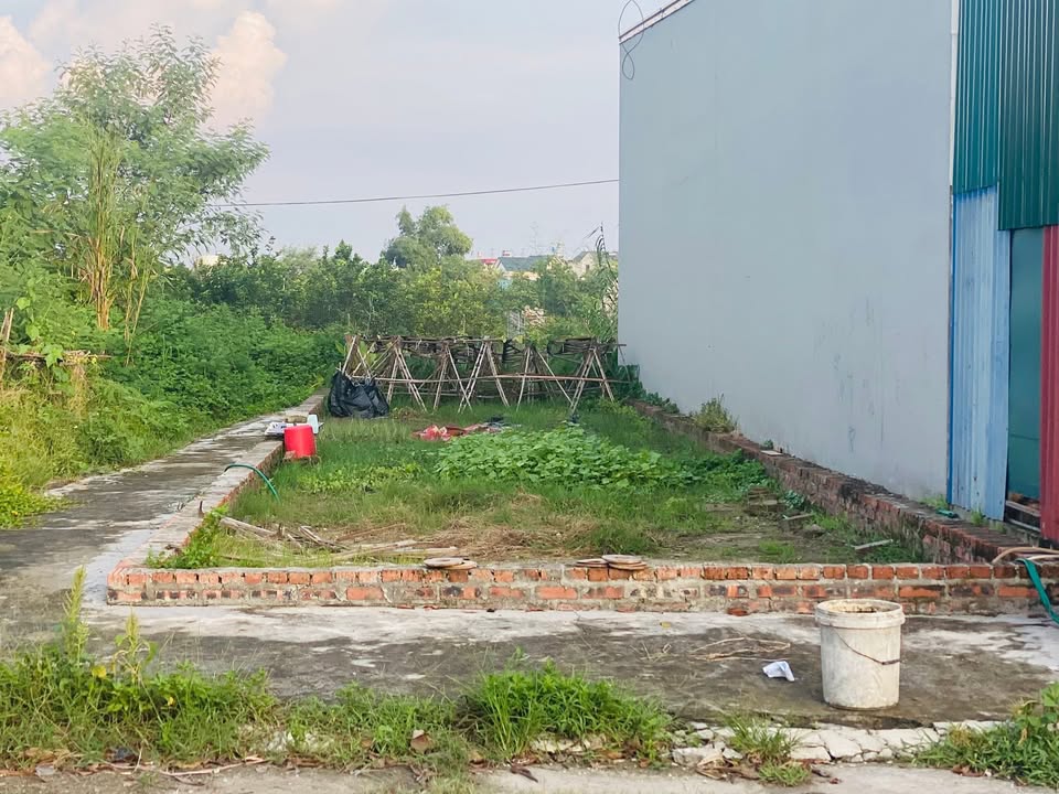 Đất nền Quang Minh Mê Linh 100m² 9 tỷ - Sổ đỏ chính chủ