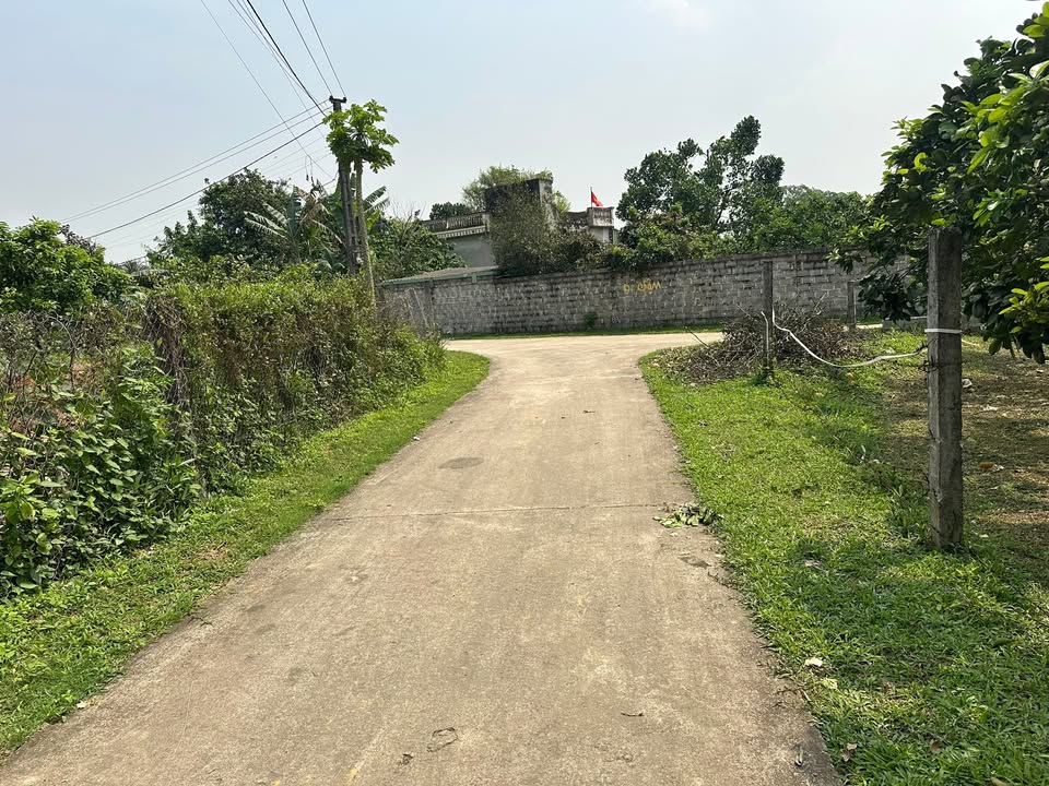 Đất Ngọc Lương Yên Thủy 279m² - Sổ Hồng Sẵn Sàng - Giá Tốt