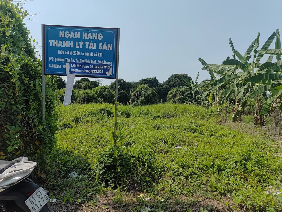 Đất nền Huỳnh Thị Hiếu 155m² 1,1 tỷ - Sổ đỏ chính chủ