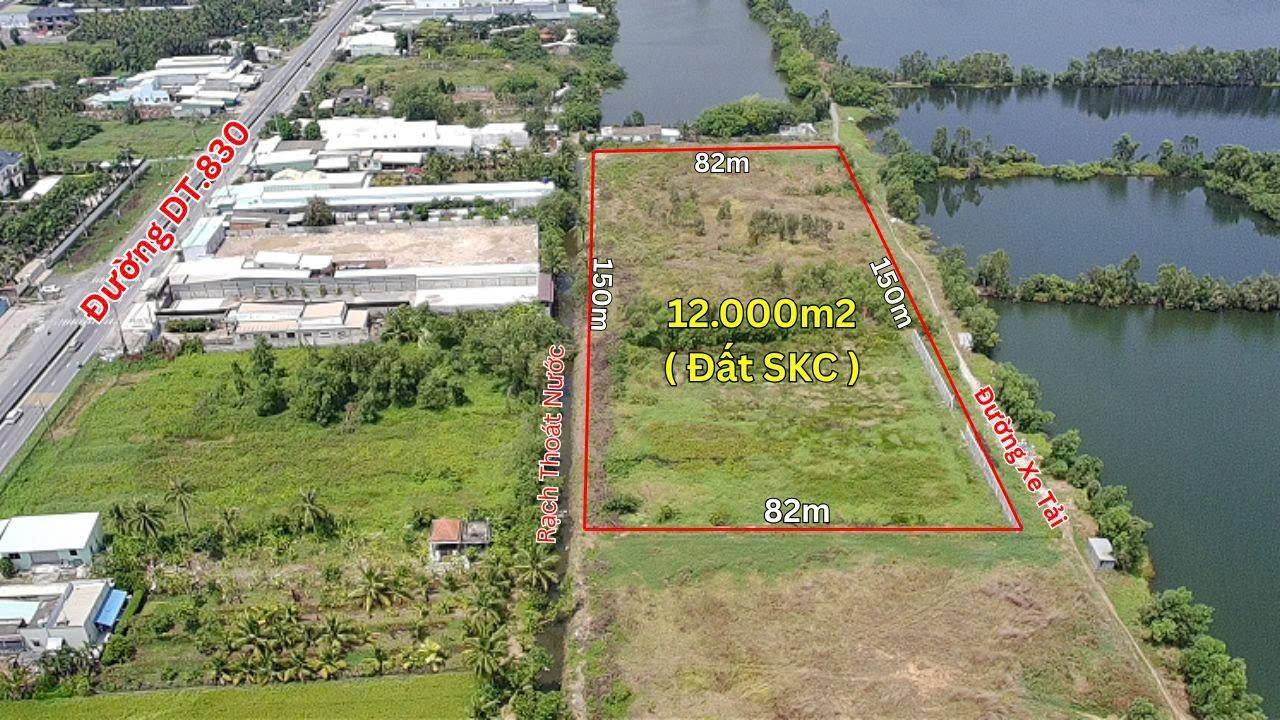 Bán Gấp Đất SKC 12.000m² Mặt Tiền DT830, KCN Phú An Thạnh, Long An
