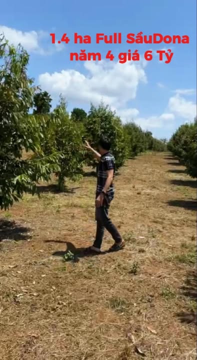 Đất vườn Cư M'gar 14.000m² 6 tỷ - Nghỉ dưỡng lý tưởng