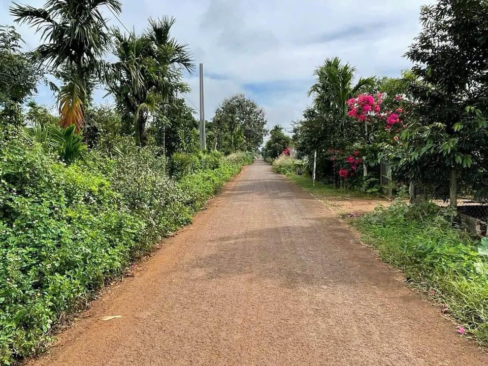 Đất nền QL26 Tân An 312m² 60m² thổ cư 1.6 tỷ - Đường to ô tô