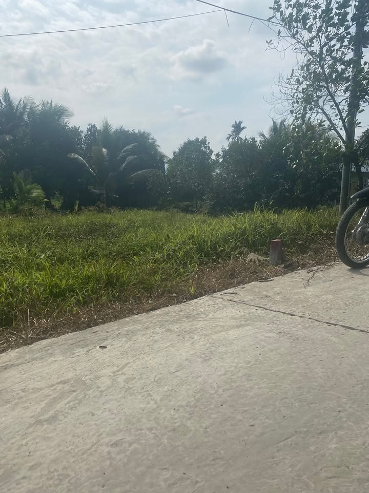 Đất nền 230m² Phường Tân Thành, TP. Cà Mau - Sổ hồng sẵn, giá đầu tư