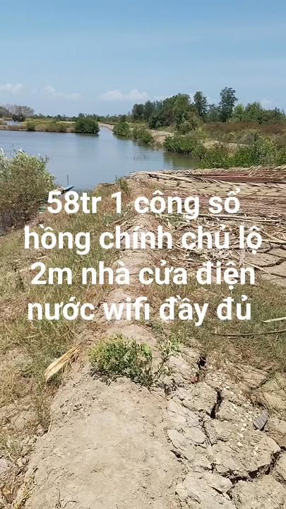 Đất vườn Tam Giang Năm Căn 1,566 tỷ - Sổ hồng rõ ràng