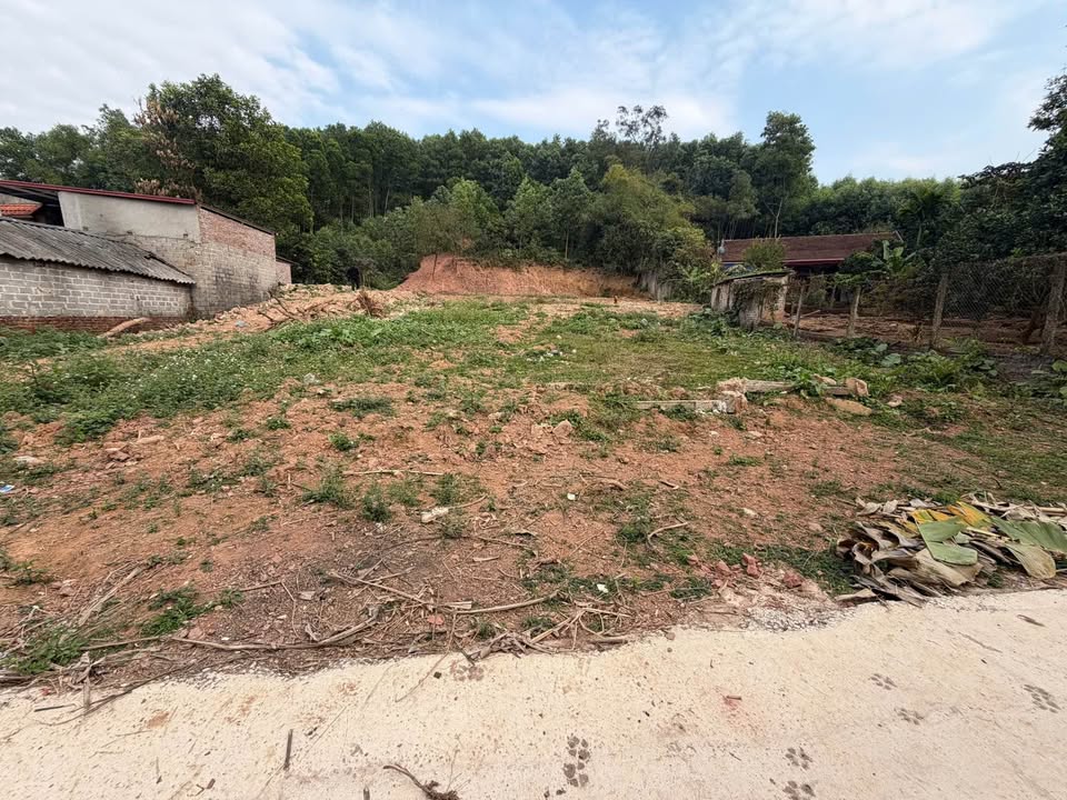 Đất Nền Đức Hòa 130m² Gần KCN Tân Đức - Đầu Tư Sinh Lời