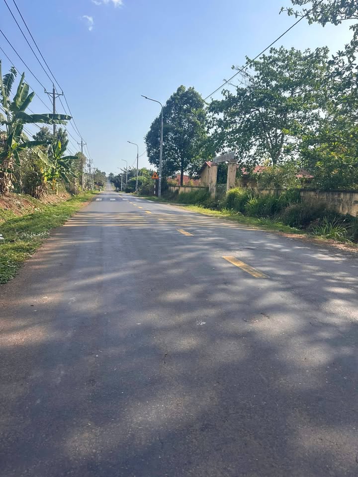 Bán Đất Vườn 1000m² Đồng Nai - Sầu Riêng & Cà Phê - Sổ Đỏ Sẵn Sàng