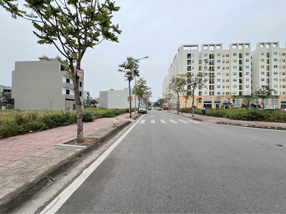 Đất nền KĐT Vũ Phúc - Thái Bình 81.6m² - Sổ đỏ sẵn, đầu tư sinh lời