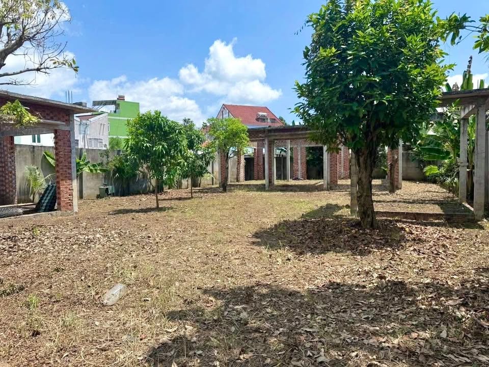 Đất Vàng Mặt Tiền Trần Nguyên Hãn, TP. Mỹ Tho - 788m² Giá 6.2 Tỷ