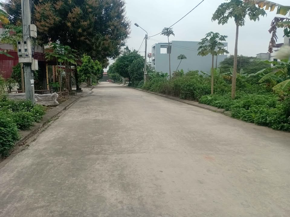 Đất nền Hoa Lư Ninh Bình 90m² 4.5 tỷ - Sổ đỏ chính chủ