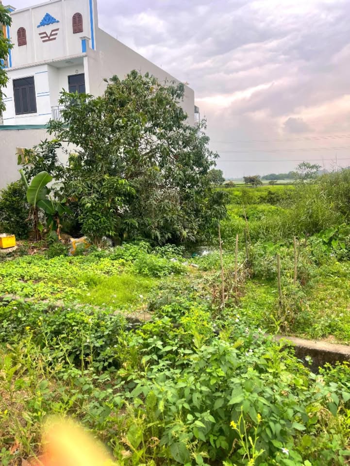 Đất Vàng Lãng Ngoại, Nam Định - 120m² Hướng Đông, Giá Đầu Tư