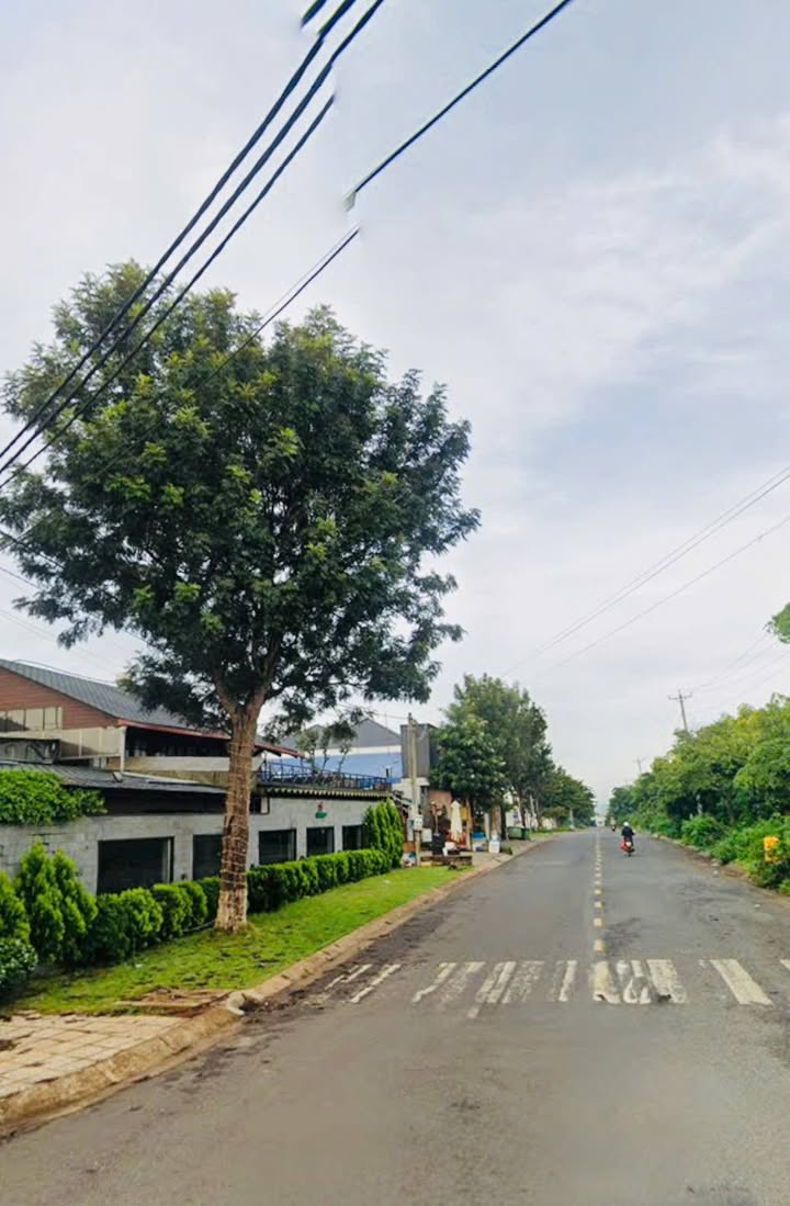 Đất Mặt Tiền Nguyễn Thị Định, Liên Nghĩa 300m² - Kinh Doanh Sầm Uất