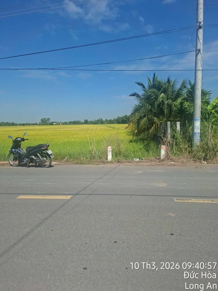 Đất Nền Long An 3185m² Sổ Hồng Sẵn Sàng - Cơ Hội Đầu Tư Vàng