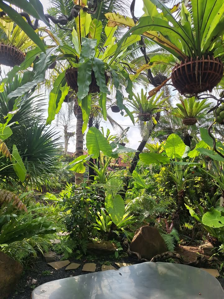 Đất nền Hải Thượng Lãn Ông 350m² 3.5 tỷ - Sổ đỏ chính chủ