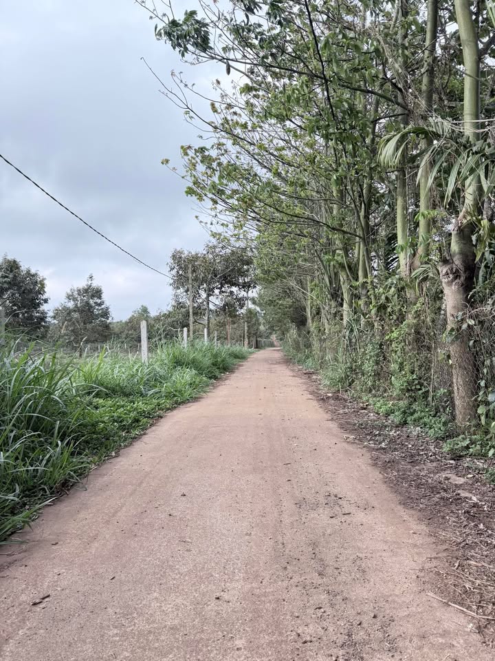 Đất nền Buôn Hồ 3.600m² 15 tỷ - Xây dựng tự do