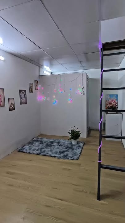 Nhà nguyên căn Lê Lư 3.9 triệu - Cho thuê ngay