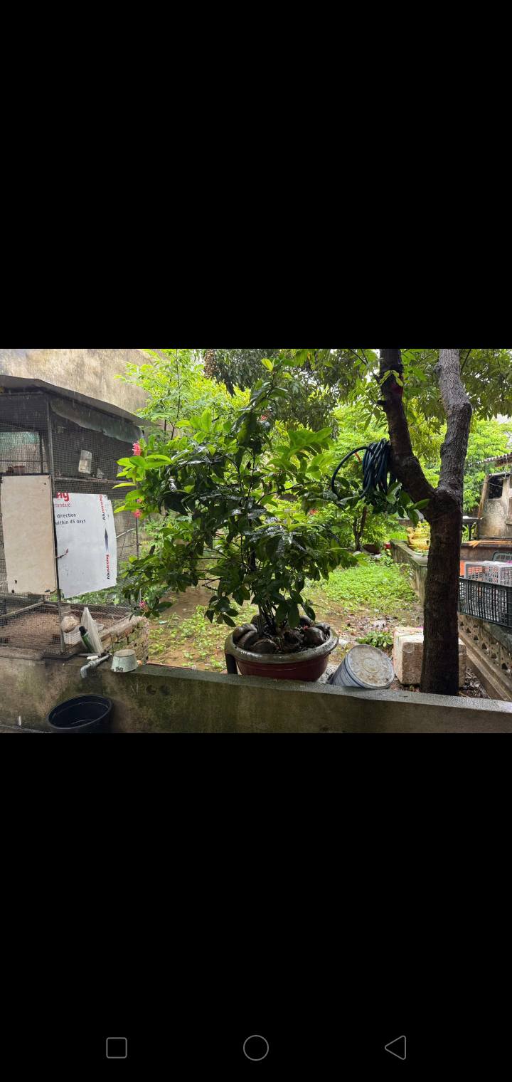 Đất nền Đồng Phú 121m² 1 tỷ - Sổ đỏ chính chủ, ô tô vào