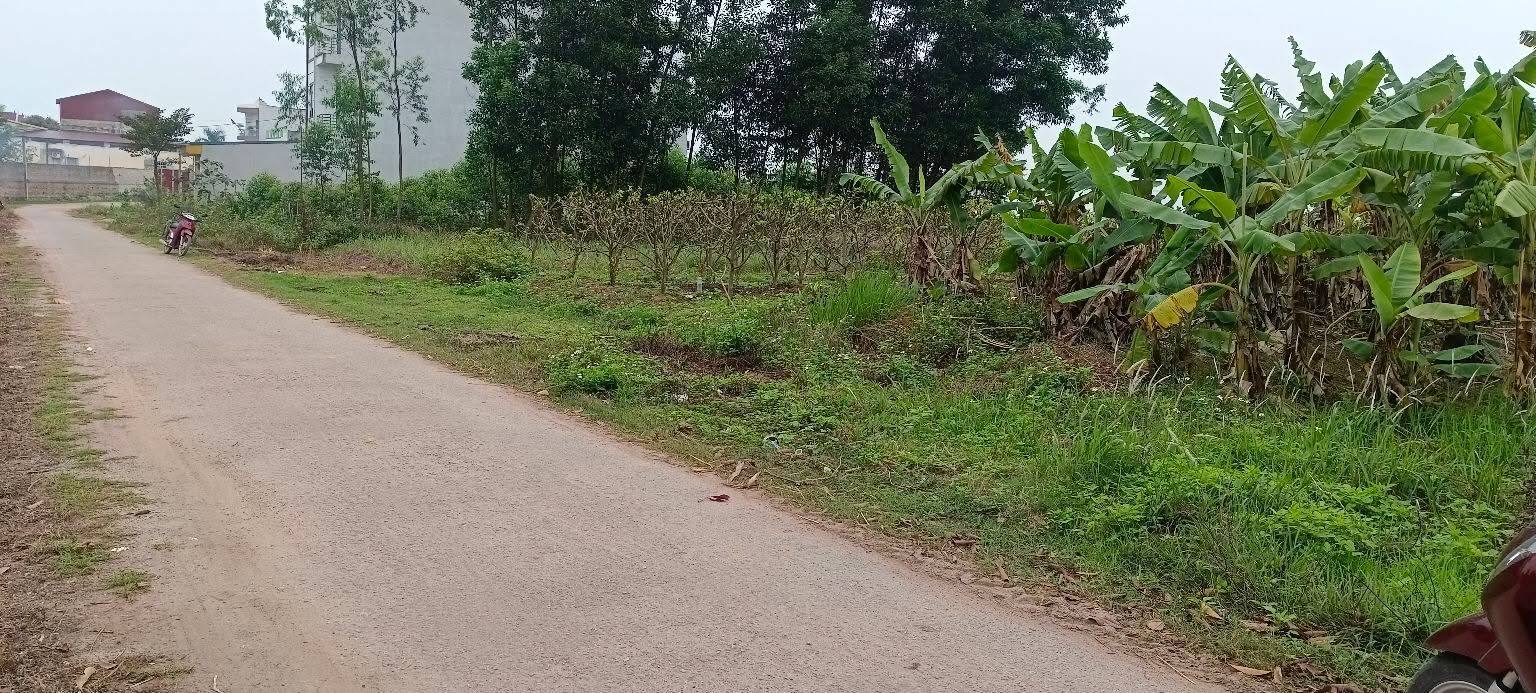 Đất nền thôn Dễu Đại Lâm 125m² 1 tỷ - Sổ đỏ chính chủ