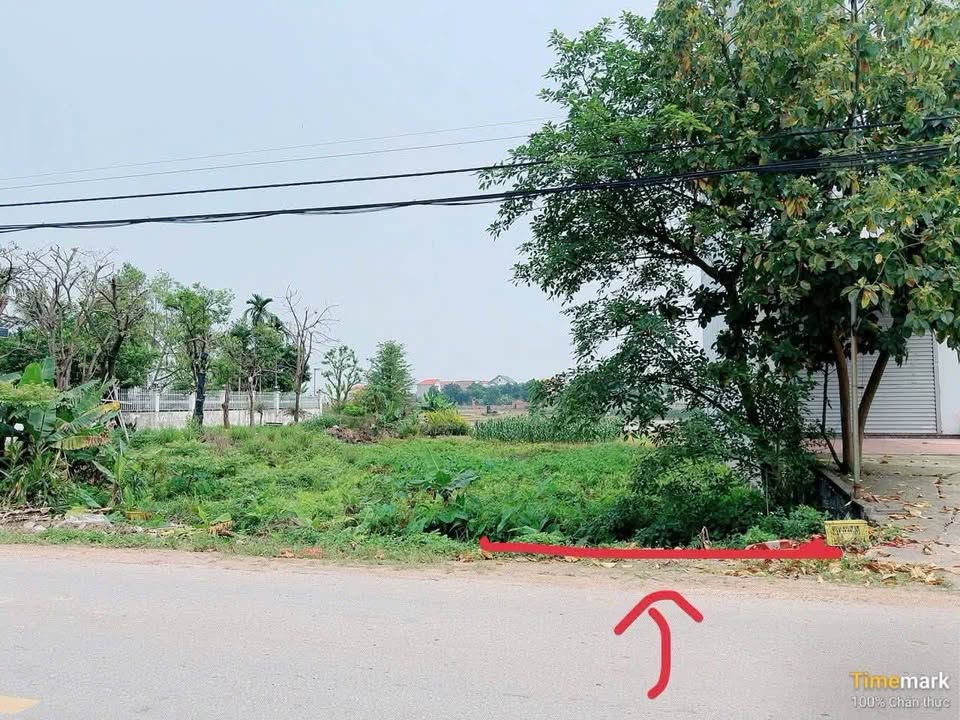 Đất Tân An Bắc Giang 74.7m² 3.5 tỷ Sổ đỏ chính chủ