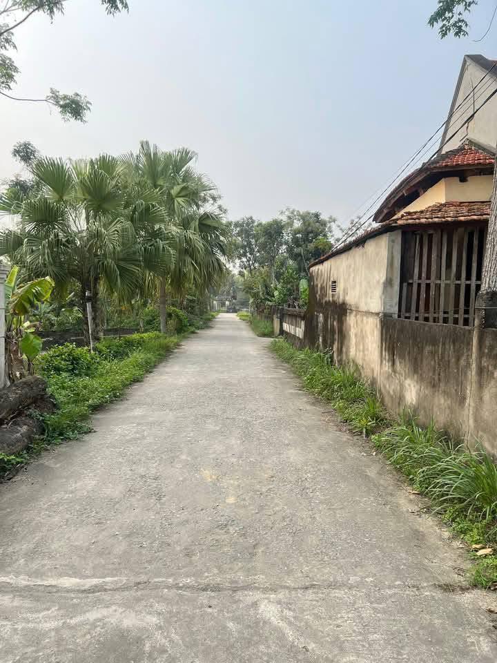 Đất Nền Quảng Xương 140m² - Trung Tâm Thị Trấn, Giá Chỉ 5xx Triệu