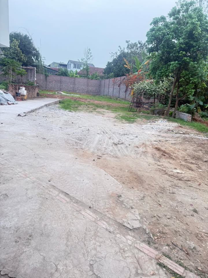 Đất nền Thanh Miếu 50m² giá >1 tỷ - Sổ đỏ chính chủ