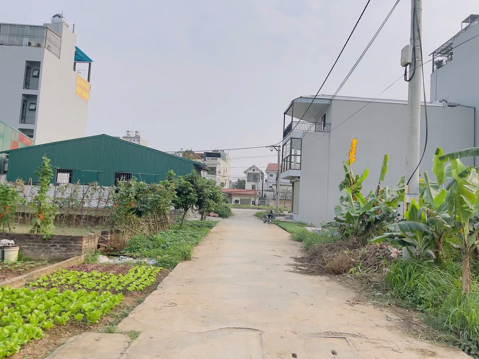 Mặt Tiền Kinh Doanh Lại Yên 62m² - Vị Trí Vàng, Giá Tốt