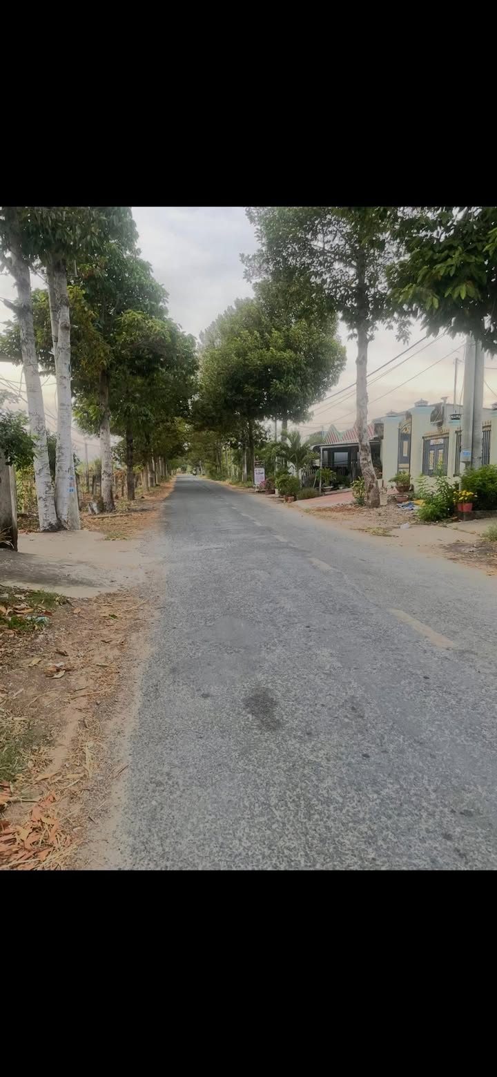 Đất nền Khóm Bến Chuối Duyên Hải 2.700m² giá 6 tỷ - Sổ đỏ chính chủ