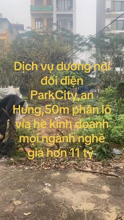 Nhà Mặt Tiền Kinh Doanh Hà Đông 50m² - Vỉa Hè Rộng, Ô Tô Tránh