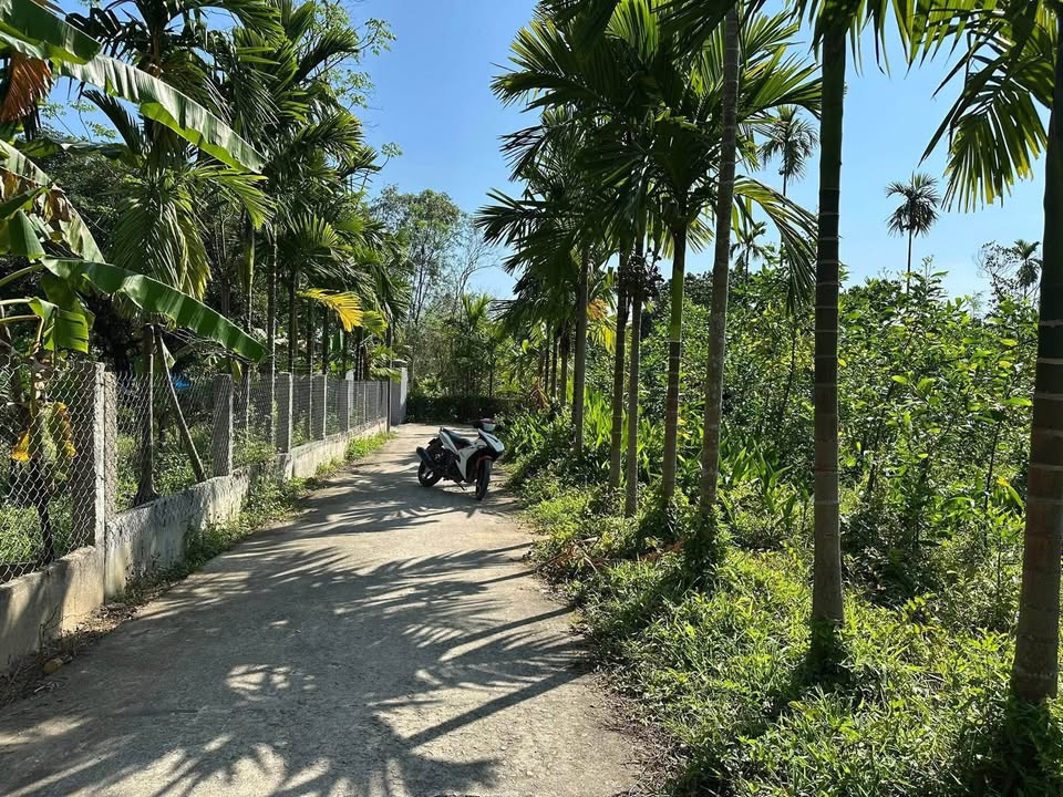 Đất Nền Lộc Điền 190m² (Ngang 7m, Nở Hậu) - Sổ Hồng Sẵn Sàng