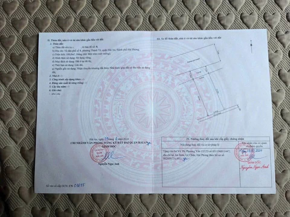 Bán Đất TĐC Đằng Lâm Hải An: 195m² Cặp Lô Góc & Lô Thường - Giá 15.5 Tỷ